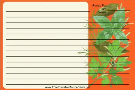 Orange Herbs recipe cards